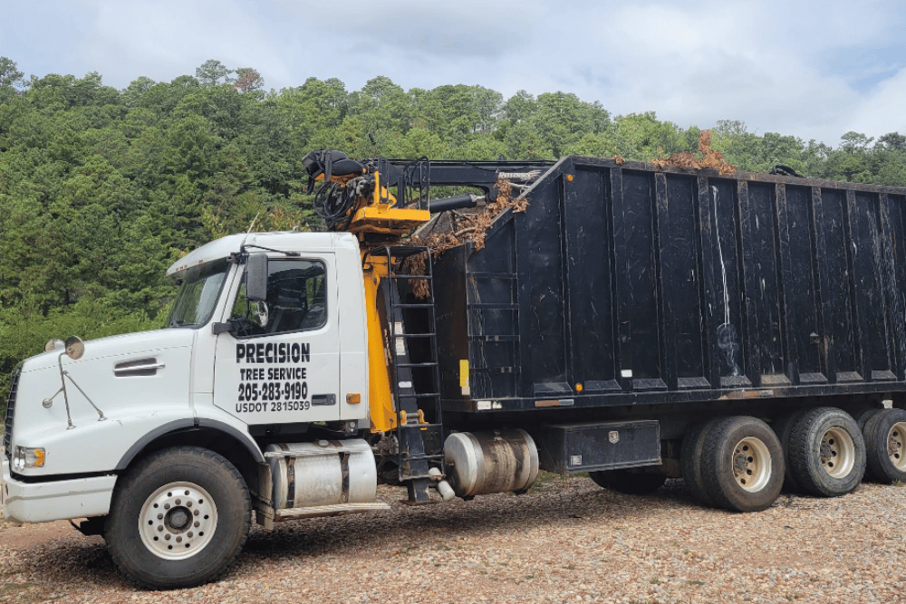 Precision Tree Service truck in Birmingham, AL