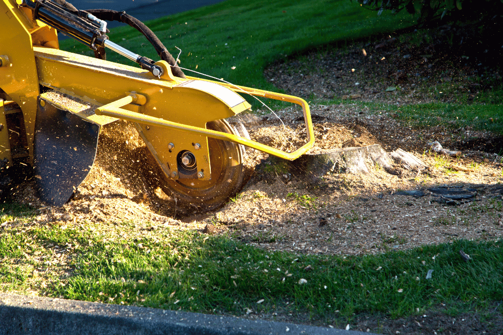 Tree stump removal in Birmingham, AL