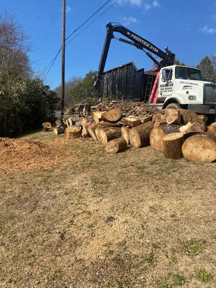 Tree Services in Trussville, AL